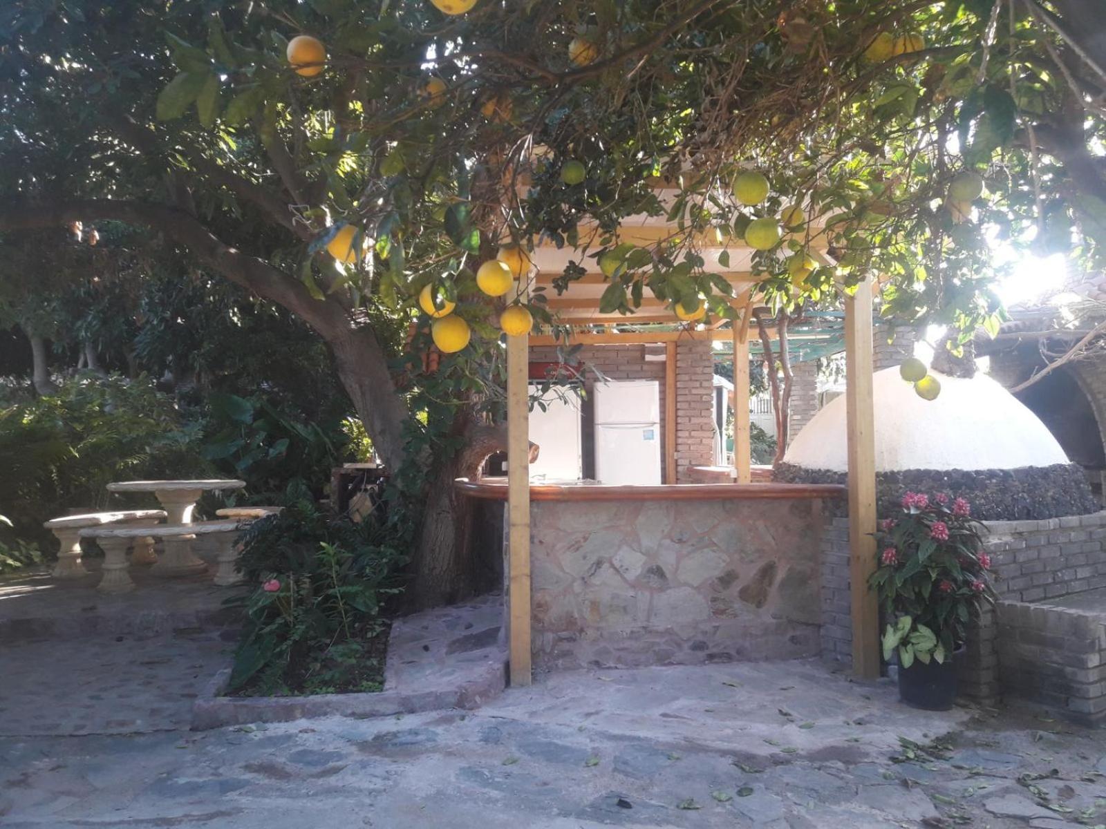 Finca Los Aguacates Trapiche  Екстер'єр фото